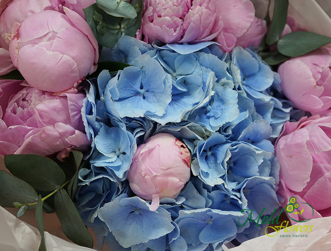 Bouquet of blue hydrangea and pink peonies photo